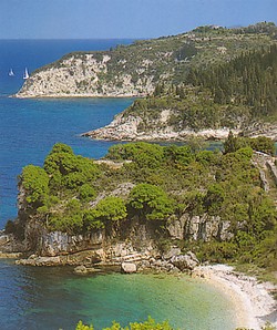 Antipaxos