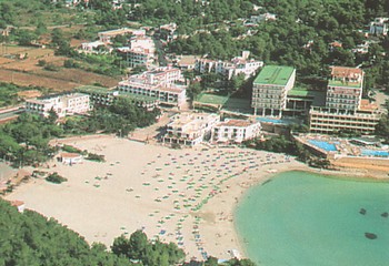 Cala longa