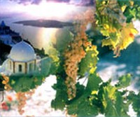 Vins à Santorin